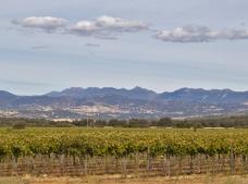 Bodegas Carabal en Alía. Denominación de Origen Ribera del Guadiana.